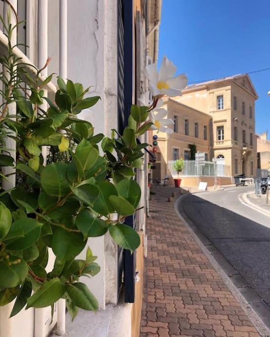 Studios Du Marin Sur Port De لا سيوتا المظهر الخارجي الصورة